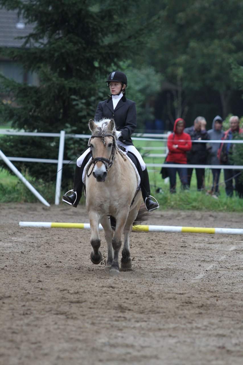 Album: WBO-Turnier am 18.9.11 - beim Fuchshof in Hasloh